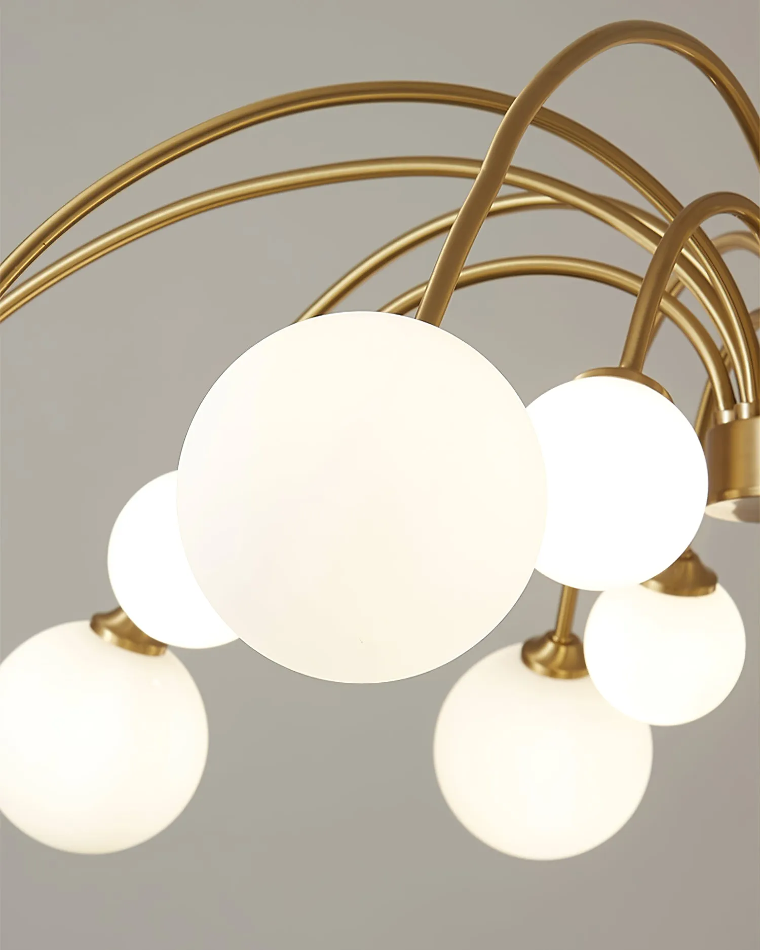Apiales Chandelier