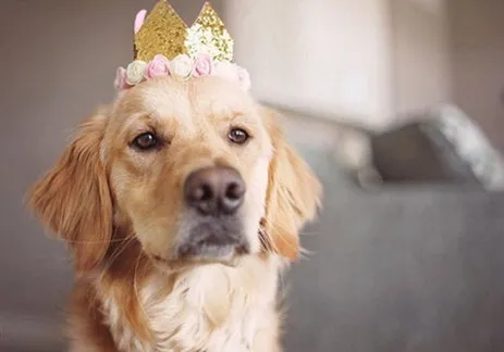Birthday Party Package | Unicorn
