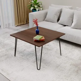 BLUEWUD Mayrite Engineered Wood Square Shape Coffee Center Tea/Teapoy Console Table for Sofa Living Room Home Hall Furniture (Wenge)