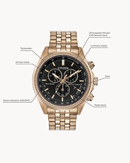 Citizen Classic Eco-Drive Perpetual Calender Chrono Watch BL5563-58E
