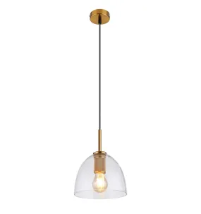 Glass Shaded Pendant Light