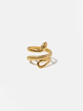 Vipera – Statement design – Titanium steel ring